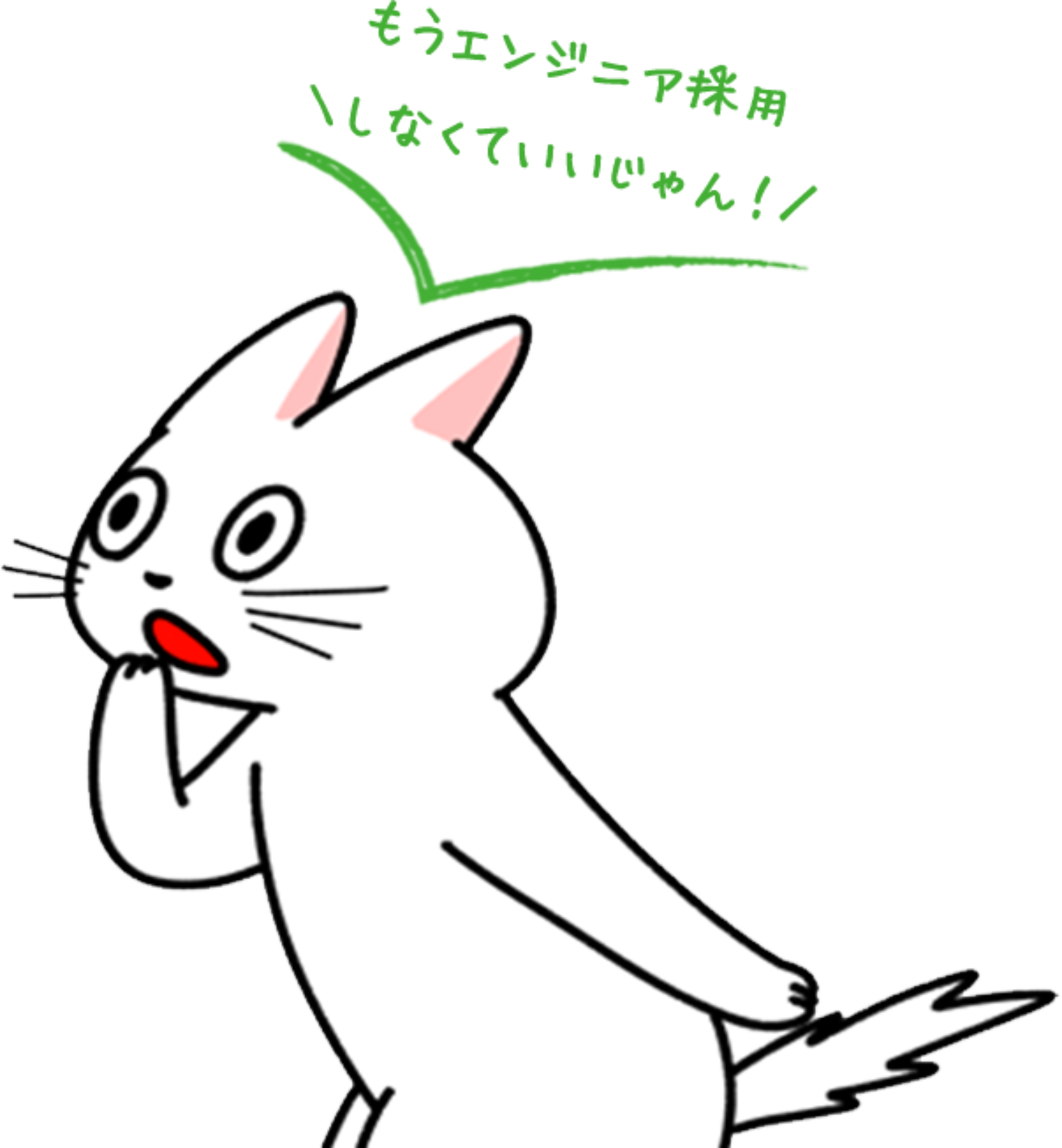 cat